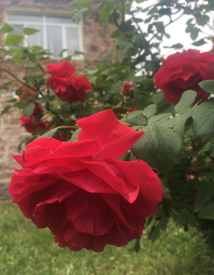Bed And Breakfast John And Lena Tatev Εξωτερικό φωτογραφία